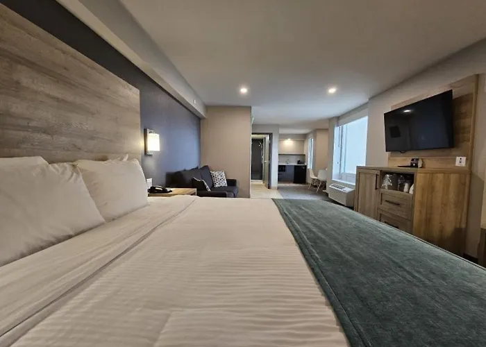 Superior Suite